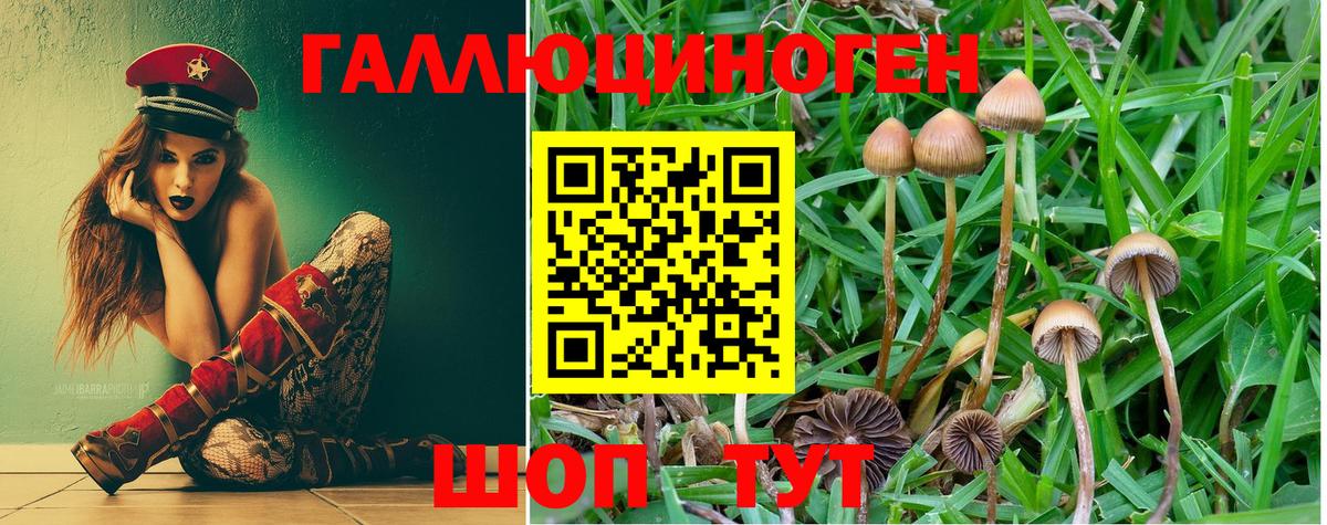 Псилоцибиновые грибы Psilocybe Лосино-Петровский