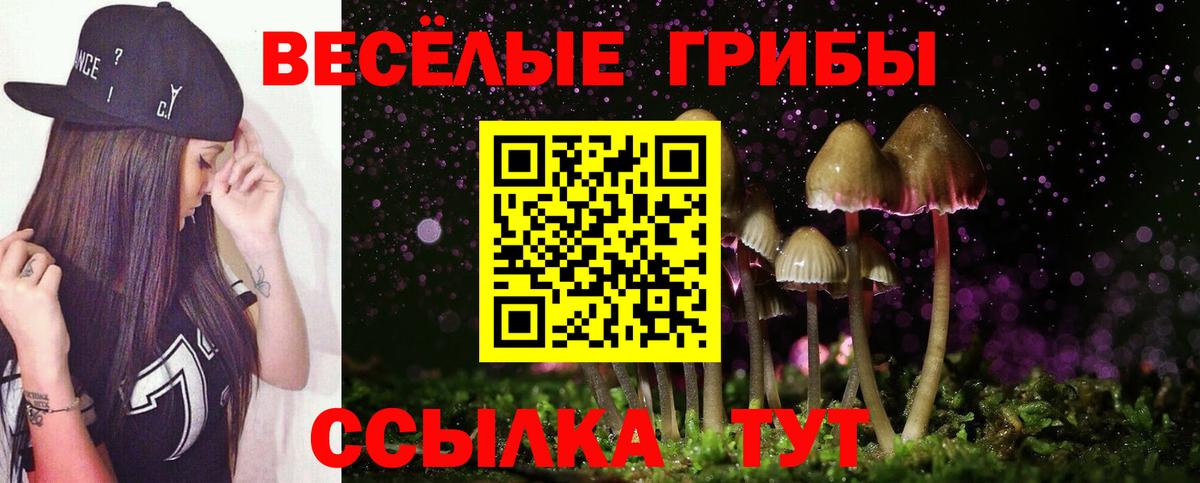 Галлюциногенные грибы прущие грибы  Вход с VPN  Лосино-Петровский 